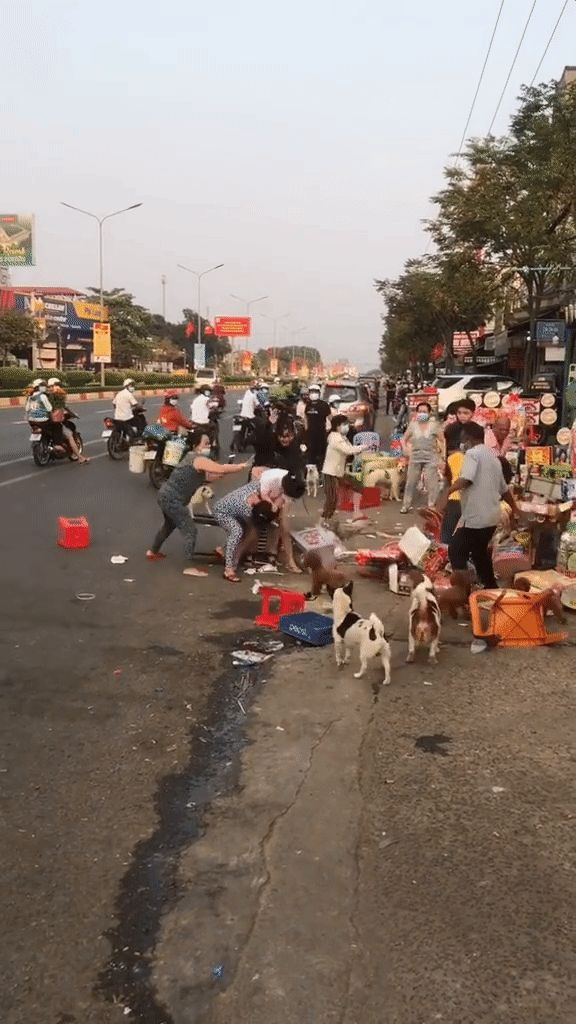 2 tiệm tạp hóa hỗn chiến tưng bừng ngay giáp Tết, song dân mạng lại cười sái quai hàm vì đội quân hóng hớt 4 chân - Hình 2