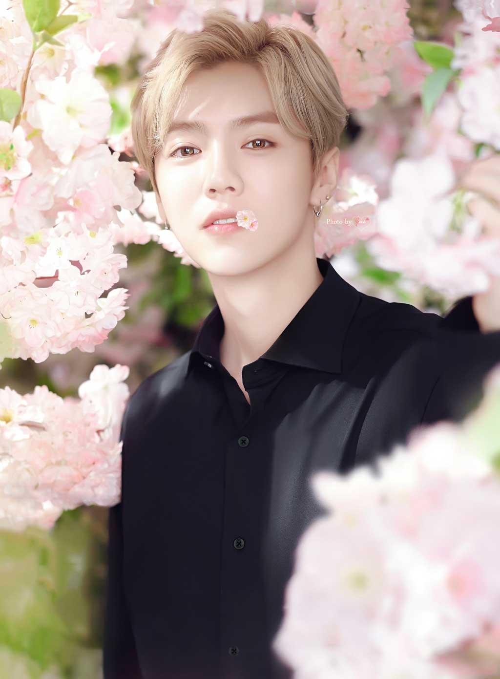 Dương Mịch, Địch Lệ Nhiệt Ba diễn xuất tầm thường nhưng cát-xê trên trời, mọi người tung hô - Hình 6