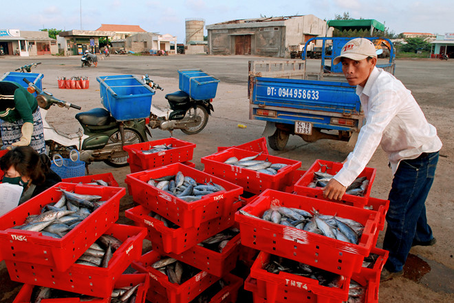 Cảng Phú Quý - điều thú vị bất ngờ - Hình 5