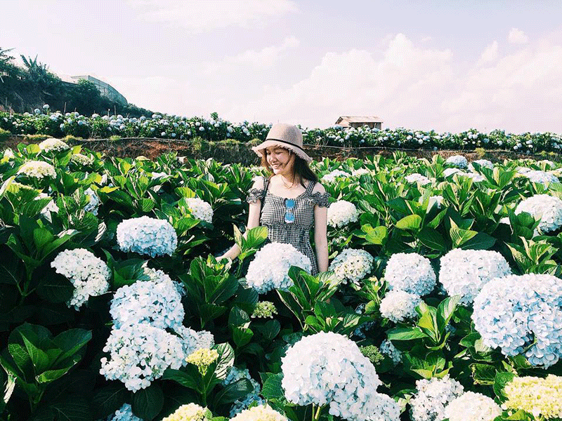 Check-in cực chất tại Cầu Đất Farm - Đà Lạt - Hình 7
