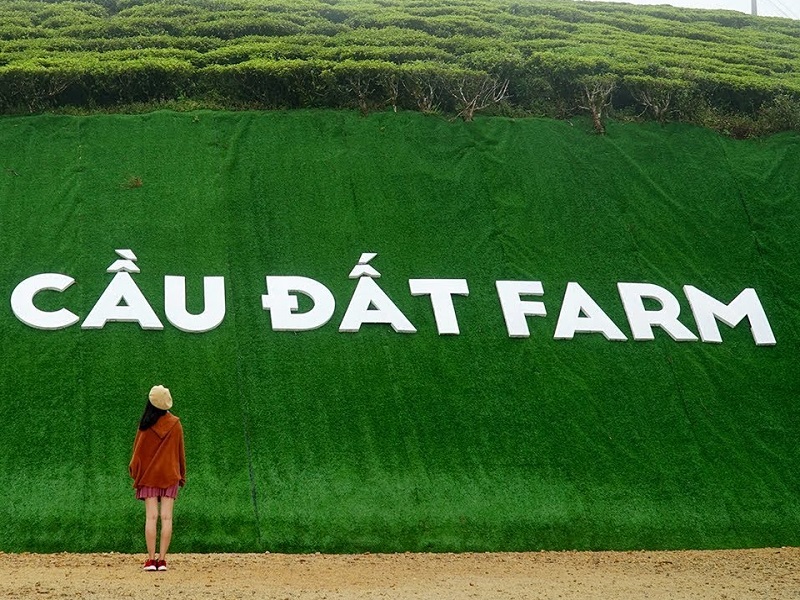 Check-in cực chất tại Cầu Đất Farm - Đà Lạt - Hình 1