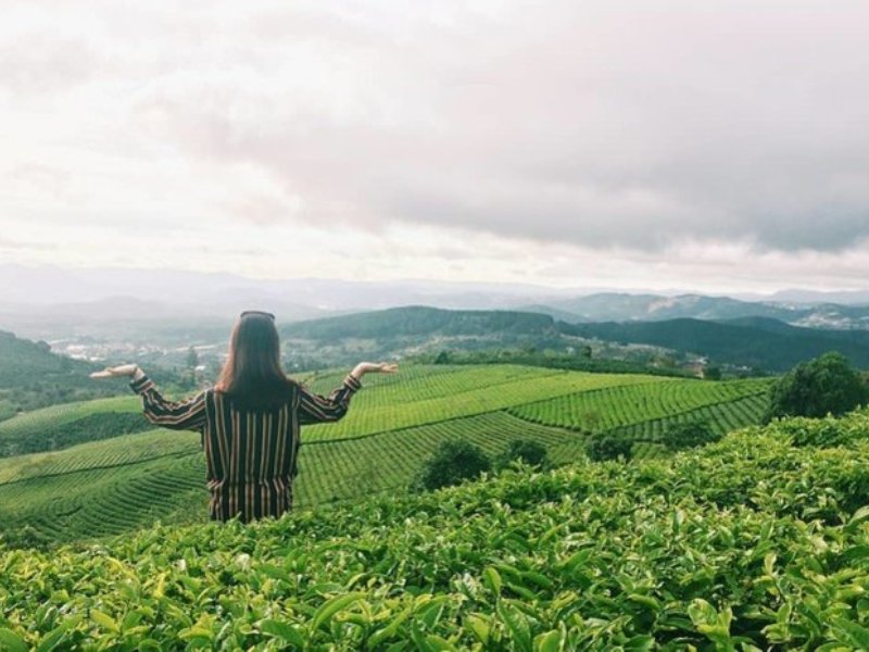 Check-in cực chất tại Cầu Đất Farm - Đà Lạt - Hình 3
