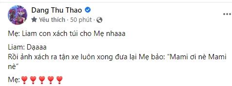 Đặng Thu Thảo hiếm hoi khoe con trai, lớn thêm không ít - Hình 3
