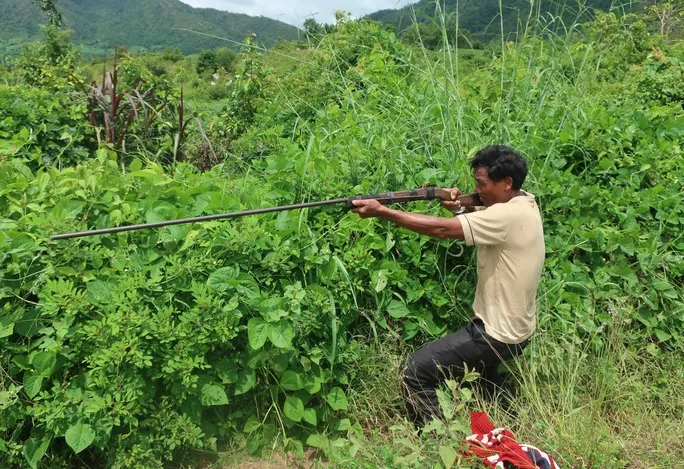 Đi bẫy gà không may bị người săn thú bắn thiệt mạng - Hình 1