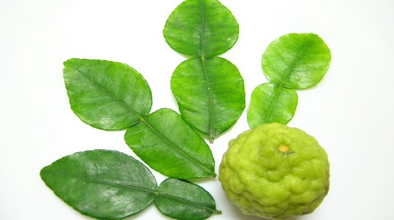 Đổi vị với cách nấu lẩu Thái cốt dừa đặc biệt thơm ngon - Hình 3