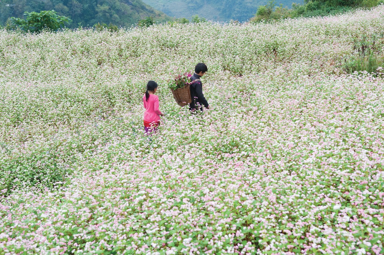 Đua thuyền, súp ván đứng tại Lễ hội hoa tam giác mạch Hà Giang - Hình 1