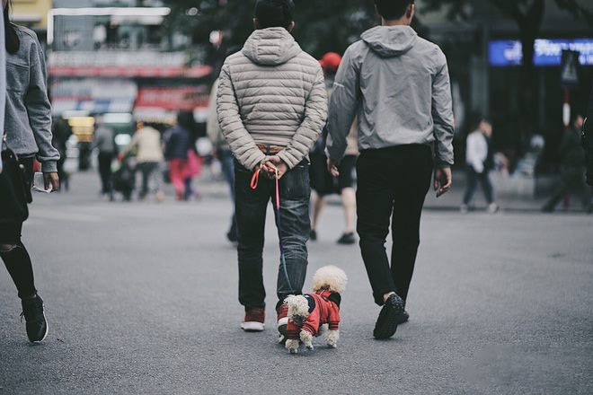 Hà Nội, mình đi đâu đây? - Hình 36
