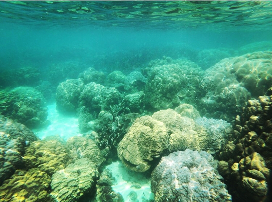 Hòn Móng Tay Phú Quốc - Maldives thứ 2 tại Việt Nam - Hình 8