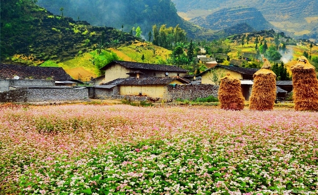 Khám phá cao nguyên Đồng Văn Hà Giang - điểm tận cùng cực Bắc - Hình 13