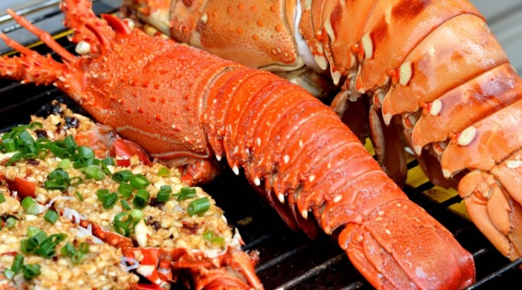 Khám phá Đảo Bình Hưng - Nàng Tiên say giấc nồng - Hình 20