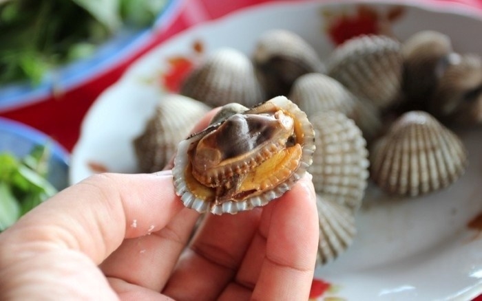 Khám phá nét đẹp xao lòng của Vịnh Xuân Đài Phú Yên - Hình 12