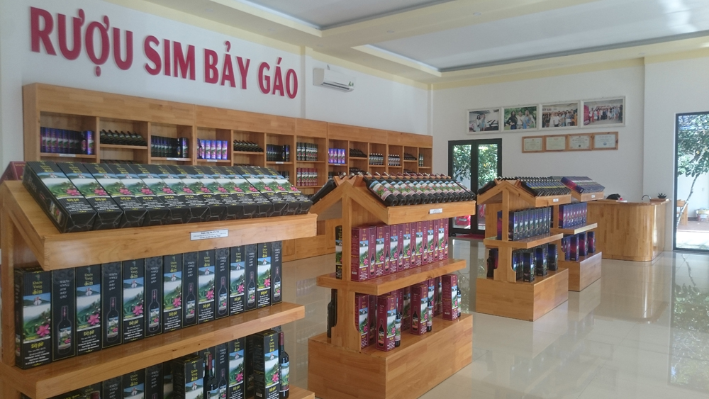 Khám phá những vườn sim đặc sản tại Phú Quốc - Hình 6
