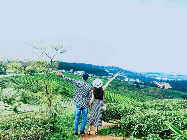 Khám phá vẻ tuyệt diệu của đồi chè Cầu đất Đà Lạt - Hình 7