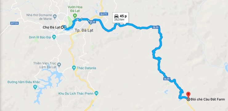 Khám phá vẻ tuyệt diệu của đồi chè Cầu đất Đà Lạt - Hình 2