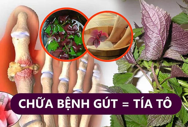 mot nam la tia to tuong vo dung nhung lai tri duoc hang chuc benh nguy hiem so 3 tuyet voi nhat 77a 6686452