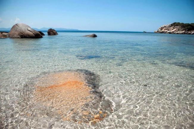 Nét quyến rũ của Vịnh Vân Phong Nha Trang - Hình 14