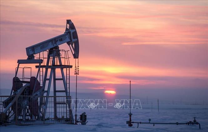 Tổng Thư ký OPEC bảo vệ quyết định cắt giảm sản lượng của OPEC - Hình 1