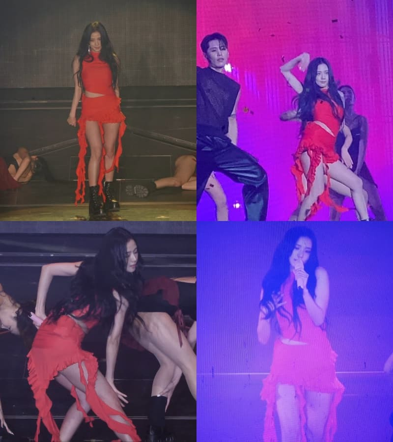 BLACKPINK khiến fan bật khóc tại world tour 2022: Jisoo được Jung Hae In quan tâm đặc biệt - Hình 8