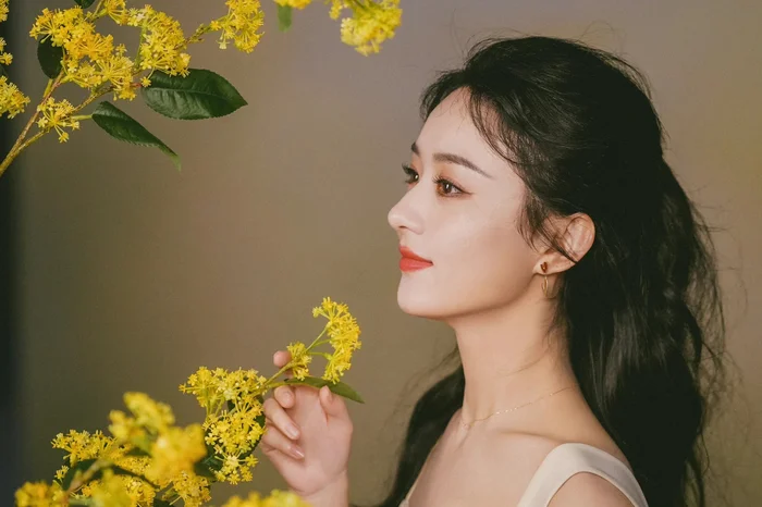 Triệu Lệ Dĩnh lộ ảnh thuở mới vào nghề liền bị cộng đồng mạng mỉa mai photoshop quá đà? - Hình 1