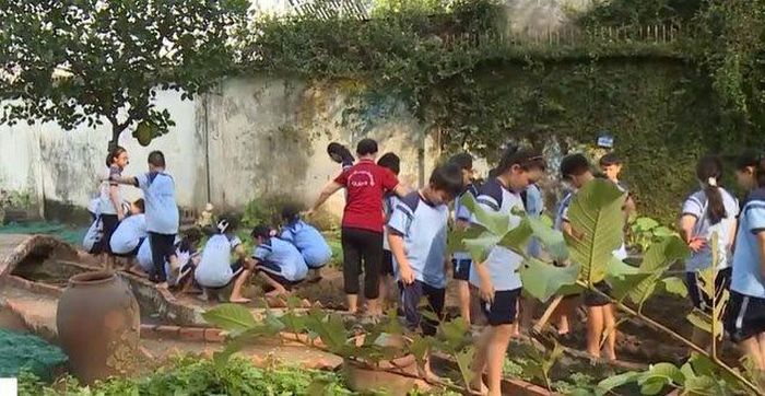 Học sinh TP Hồ Chí Minh thích thú với mô hình trường học xanh - Hình 1