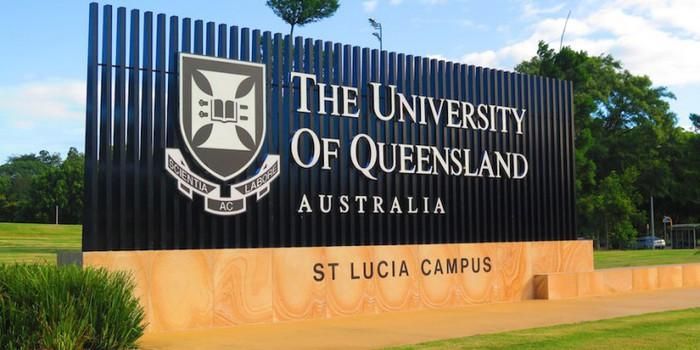 Không cần IELTS, học sinh vẫn có thể đi du học tại những quốc gia nói tiếng Anh này - Hình 1