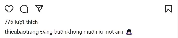 Thiều Bảo Trang làm rõ mối quan hệ với chồng cũ Lệ Quyên - Hình 4