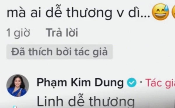 Thùy Tiên tự tay lật thuyền với Quang Linh, công sức người thân và fan coi như đổ sông đổ biển? - Hình 3