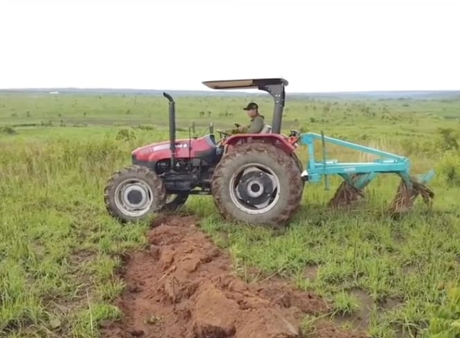 Quang Linh Vlogs công khai thể hiện tình cảm với Thùy Tiên, khắc tên Tiên trên cánh đồng Angola - Hình 4
