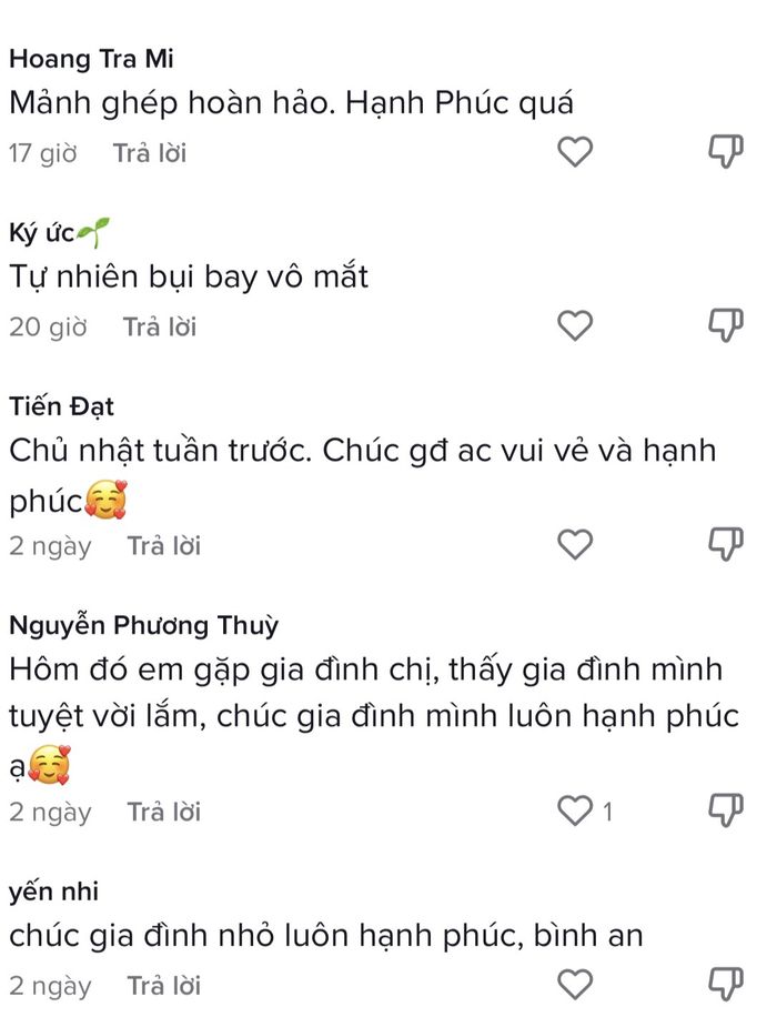 Cặp đôi lính chì và con trai vượt chặn đường 10km khiến ai cũng phục - Hình 5