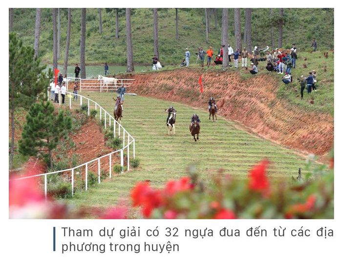 Độc đáo giải đua ngựa không yên ở Lạc Dương - Lâm Đồng - Hình 4