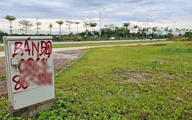 Quận Hà Đông sắp đấu giá 26 lô đất, giá khởi điểm cao nhất từ gần 70 triệu đồng/m2 - Hình 1