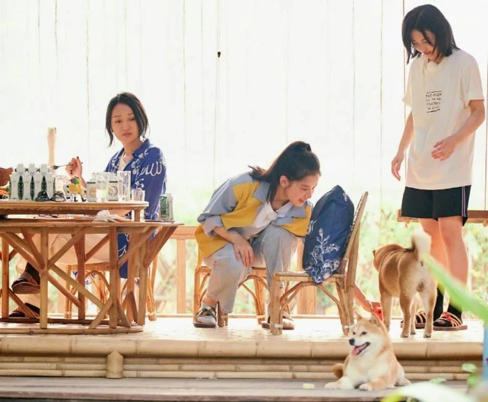 Trần Phi Vũ vội vàng xé couple với Trương Tịnh Nghi, tuyên bố sẽ không muốn gặp lại dù chỉ 1 lần? - Hình 9