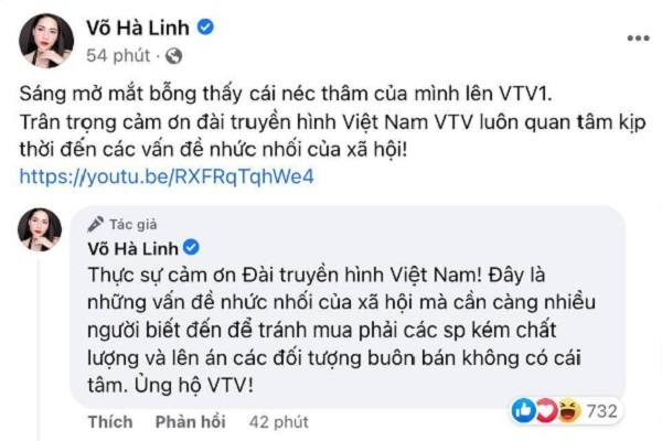 Nờ Ô Nô, Trang Nemo và loạt hiện tượng bị VTV điểm mặt, có người còn làm video cà khịa lại - Hình 10