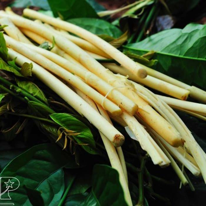 Những món ăn được chế biến từ đọt mây - Ẩm thực - Việt Giải Trí