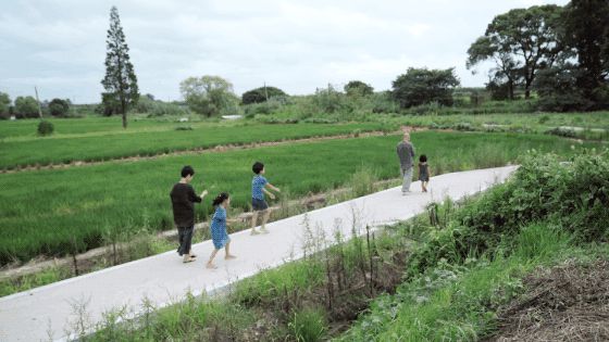 Hai vợ chồng bán nhà ở thành phố, về quê xây nhà để sống cuộc đời thảnh thơi - Hình 28