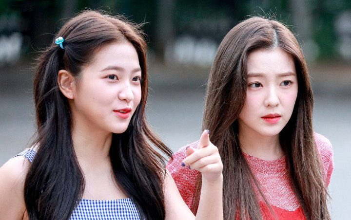 Joy (Red Velvet) bất ngờ nhiễm Covid-19: Kế hoạch comeback tan tành theo mây khói? - Hình 3