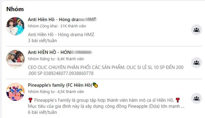 Hiền Hồ bị phong sát: Các hội anti mọc lên như nấm, dân tình tranh thủ hóng drama nương tựa? - Hình 2