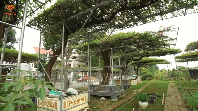 Đại gia Thanh Hóa mất 5 năm gom gỗ làm nhà, bước vào trong choáng nặng với bộ sưu tập đồ gỗ nguyên khối chạm khắc thủ công - Hình 10