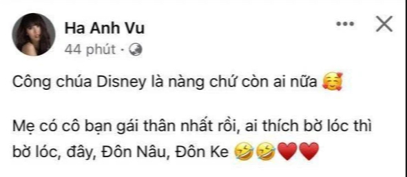 Hà Anh có động thái đáp trả chuyện ăn BLOCK từ Xuân Lan? - Hình 2