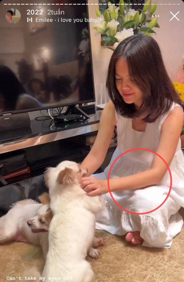 Không chỉ áo bầu, Phạm Quỳnh Anh còn bị soi nụ cười như tượng sáp tại sự kiện: Dấu hiệu trẻ lâu hay là nét giả trân đáng ngờ? - Hình 17