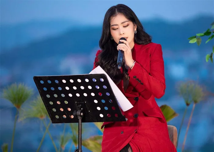 Nam Em bất ngờ gây tranh cãi trước thềm Miss World Việt Nam - Hình 2