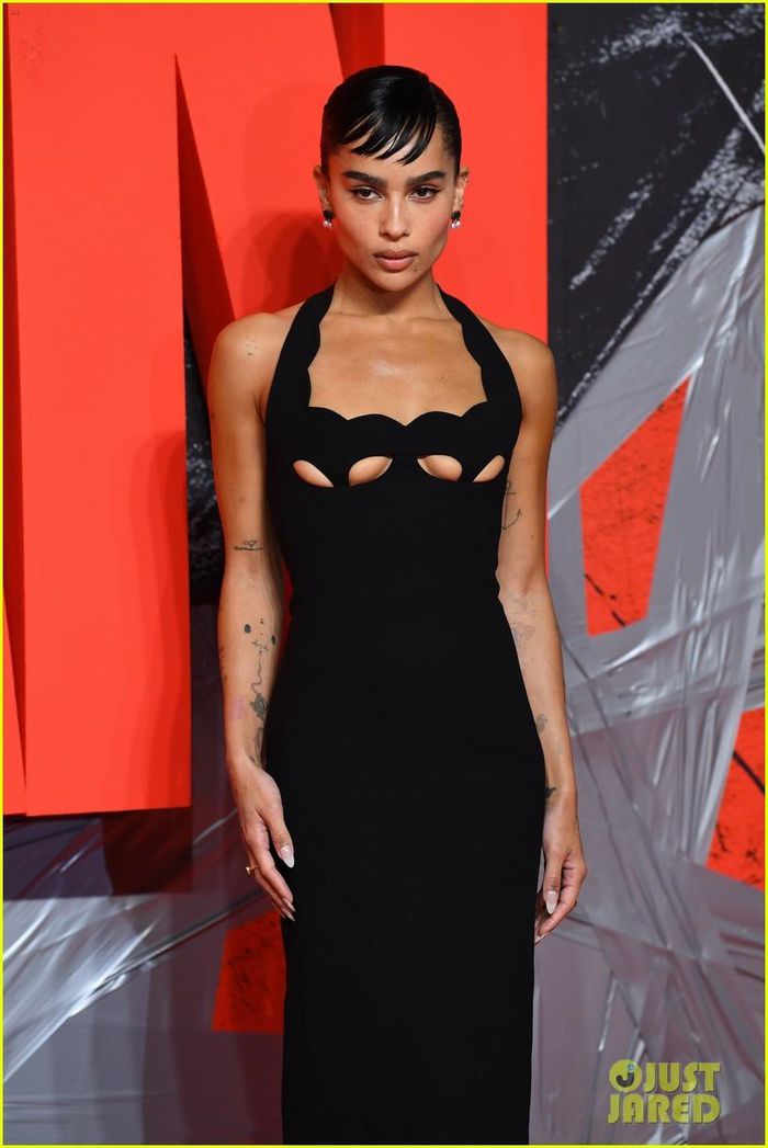 Catwoman Zoe Kravitz: Mặc váy khoét ngực táo bạo trên thảm đỏ, đúng chất miêu nữ nhà Batman - Hình 2
