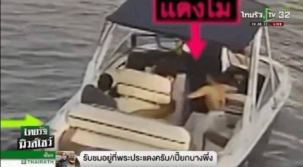 Thánh soi Việt khiến đài truyền hình Thái dậy sóng vì clip nghi nữ diễn viên Chiếc Lá Bay bị thương, người trên thuyền có hành động lạ - Hình 4