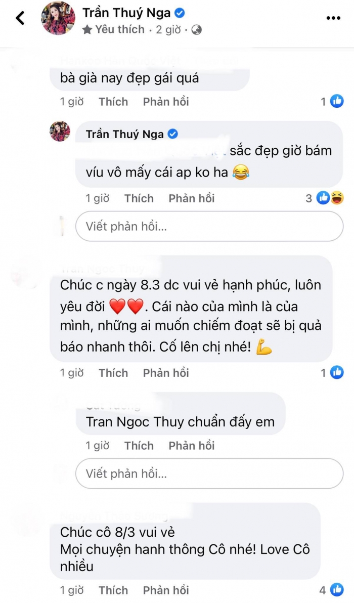 Thúy Nga đột ngột bị cảnh sát Mỹ ập đến nhà, 'đuổi' ra ngoài ngay trong đêm, chính chủ nói gì? - Hình 5
