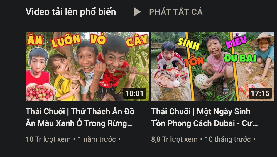 Chủ kênh YouTube ở Quảng Ninh kiếm hơn 11 tỉ đồng quên nộp thuế, Công an mời làm việc - Hình 2