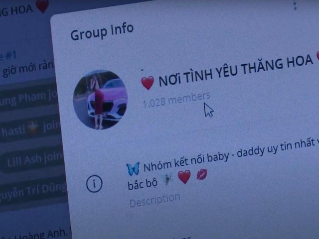 Tuổi trẻ tài cao: Nữ sinh viên năm nhất làm má mì, cầm đầu đường dây mua bán dâm Sugar Baby - Sugar Daddy - Hình 2