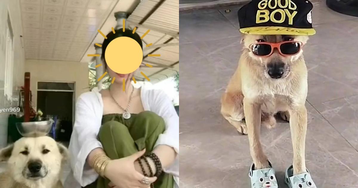 Vụ Củ tỏi chú chó nổi tiếng trên TikTok mất tích: Ngọc Duyên đã tìm ra tung tích giống đến 90%! - Netizen - Việt Giải Trí