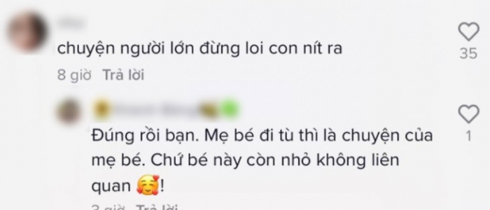 Bà Nguyễn Phương Hằng vừa bị bắt, quý tử đã gặp chuyện không hay - Hình 4