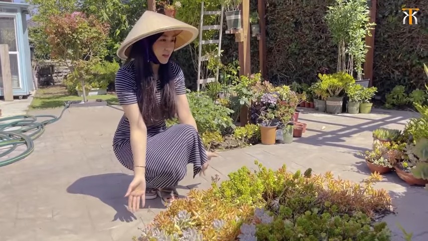 Hé lộ cơ ngơi biệt thự vườn bạc tỷ trên đất Mỹ của Hà Thanh Xuân trước khi bước chân vào hào môn cá Koi - Hình 4