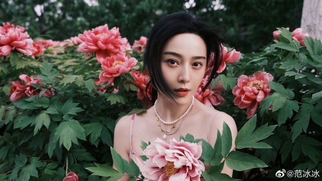 Phạm Băng Băng dùng đủ chiêu trò bám trụ showbiz để lấy lại hào quang hay còn lý do nào khác? - Hình 1